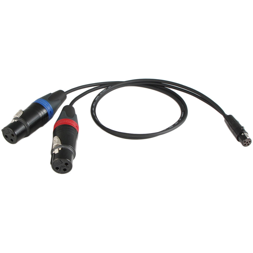 Cable Techniques XLR-3F Y Cable for Sound Devices Scorpio TA5 Inputs (24")