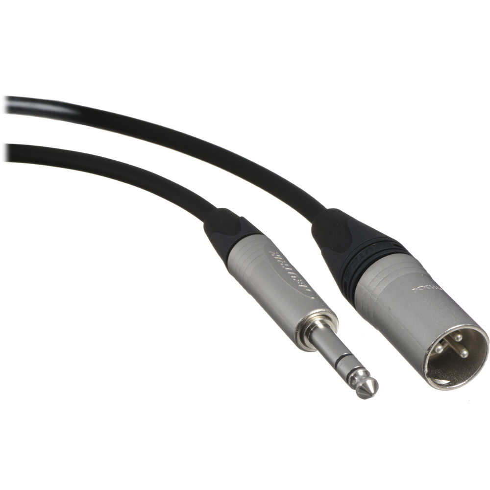 Canare Star Quad 3-Pin XLR Male to 1/4 TRS Male Cable (Black, 1')