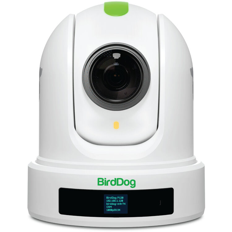 BirdDog Eyes P110 1080p Full NDI PTZ Camera (White)