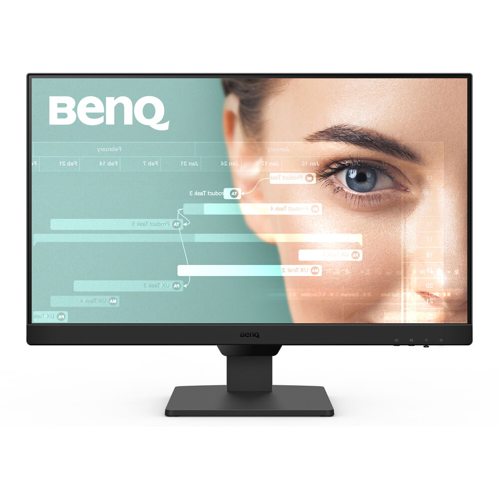 BenQ GW2490 23.8" Monitor