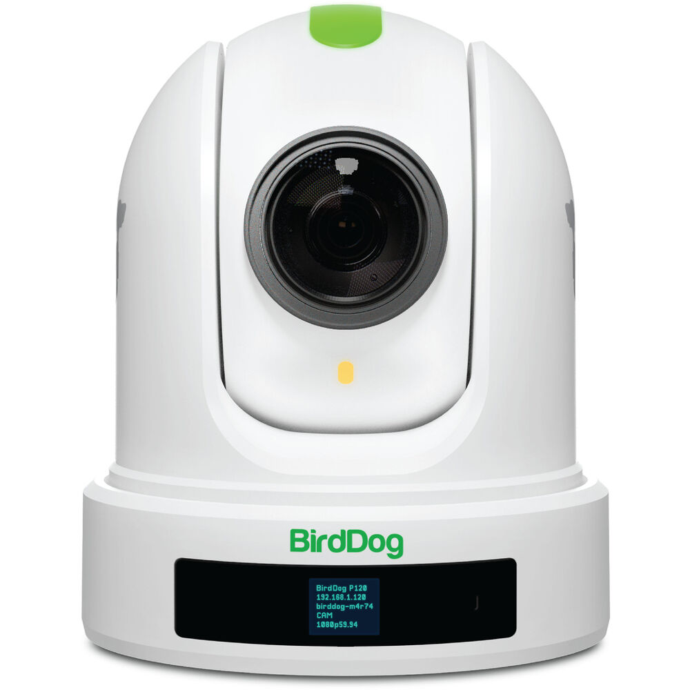 BirdDog P120 1080p Full NDI PTZ Camera (White)