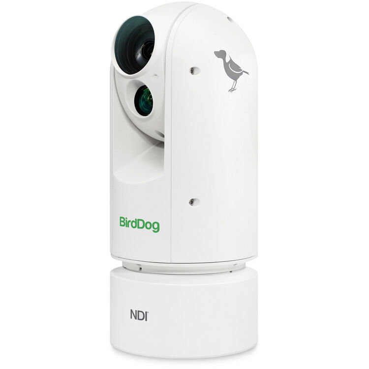 BirdDog Eyes A300 1080p Full NDI PTZ Camera with Sony Sensor and SDI